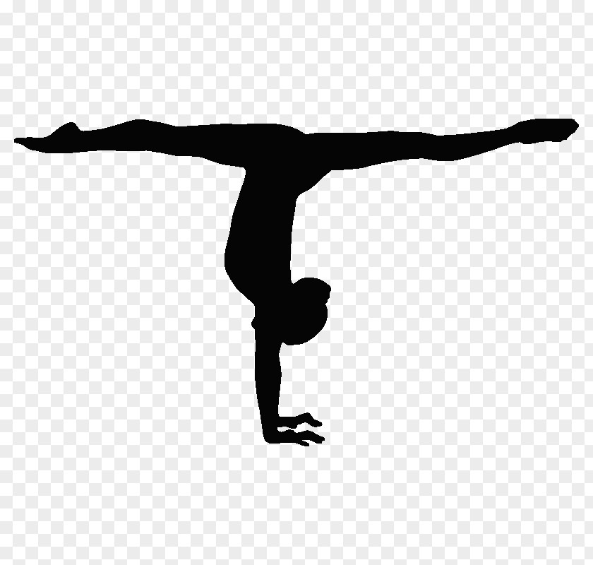 Gymnastics Handstand Balance Beam Split Sport PNG