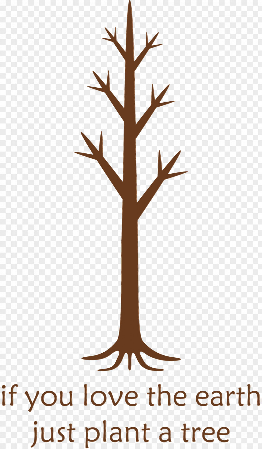 Leaf Plant Stem Tree Twig Meter PNG