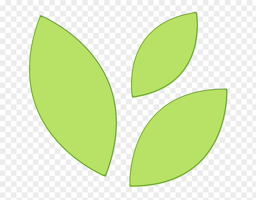 Logo Eucalyptus Leaf Green Plant Flower PNG