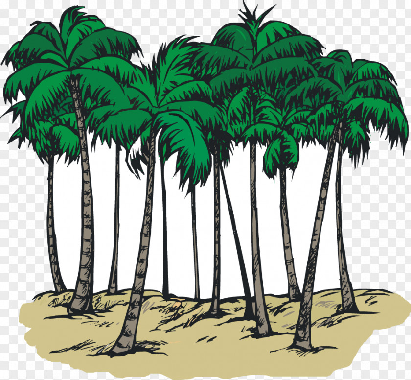 Picture Of Palmetto Tree South Carolina Sabal Palm Arecaceae Coloring Book Clip Art PNG