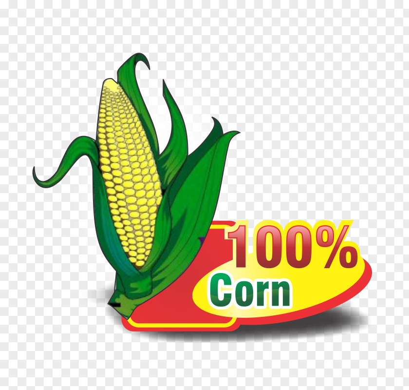 100% Corn Tag Fort Collins Denver Loveland Chamber Of Commerce Festival PNG