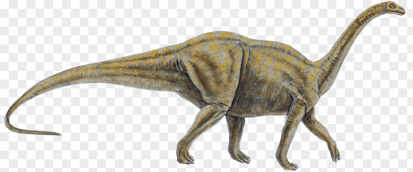 Cretaceous Dinosaur Tyrannosaurus Size Reptile Allosaurus PNG