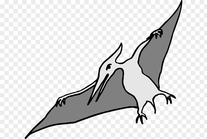 Dinosaur Vector Pterodactyls Tyrannosaurus Spinosaurus Pterosaurs Flying Reptiles PNG