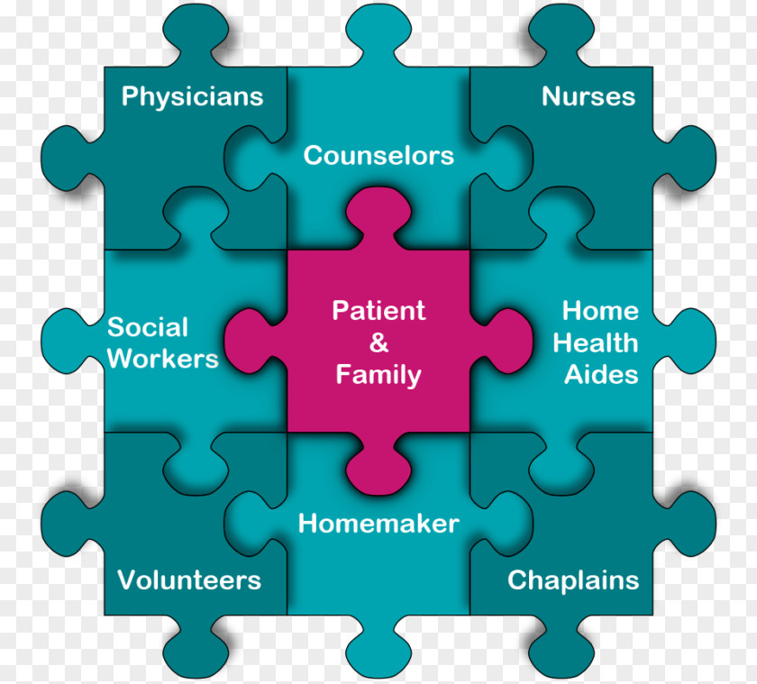 Line Human Behavior Organism Brand Diagram PNG