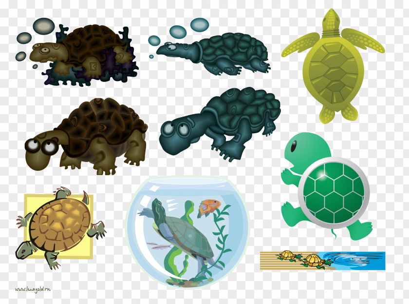 Turtle Shell Final Fantasy Tortoise Sea Cartoon PNG