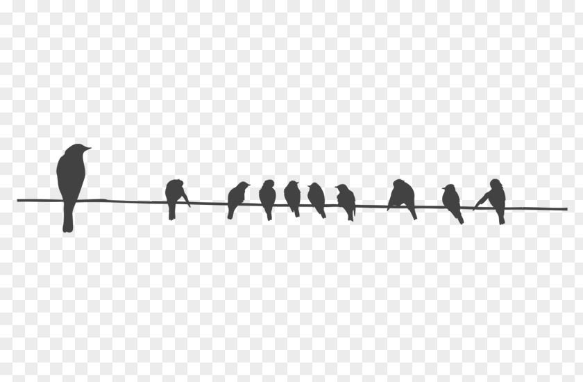 Wall Decal Bird Wire Columbidae Stencil PNG