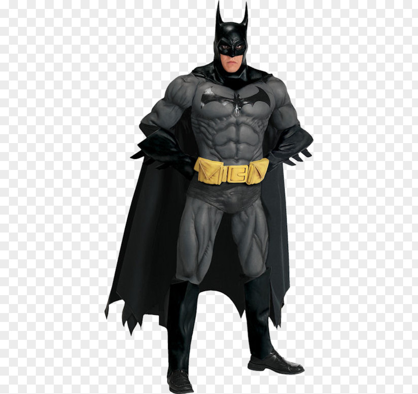 Batman Robin Costume Barbara Gordon Clothing PNG