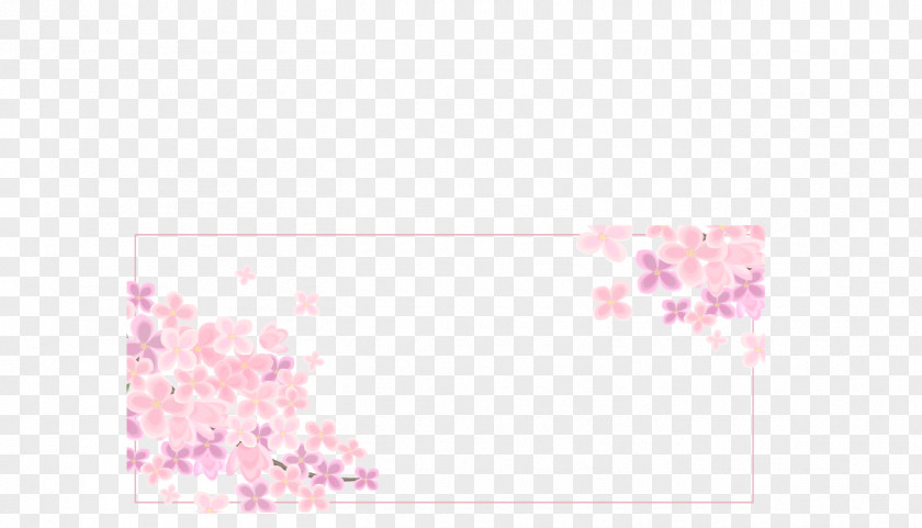 Beautiful Pink Cherry Blossoms Frame Blossom PNG