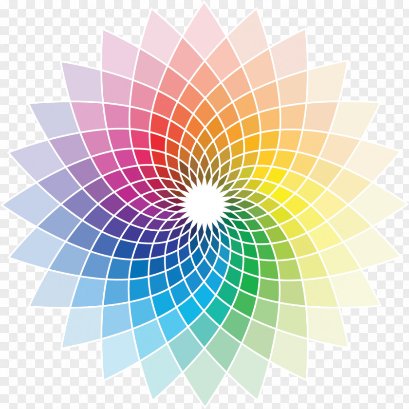 Colour Color Wheel Creativity Interior Design Services PNG