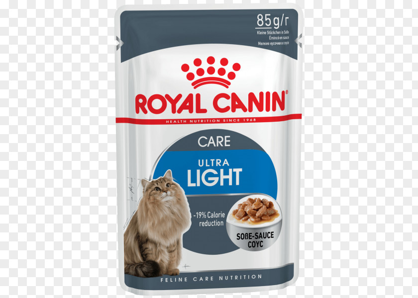Dog Cat Food Maine Coon Kitten Royal Canin PNG