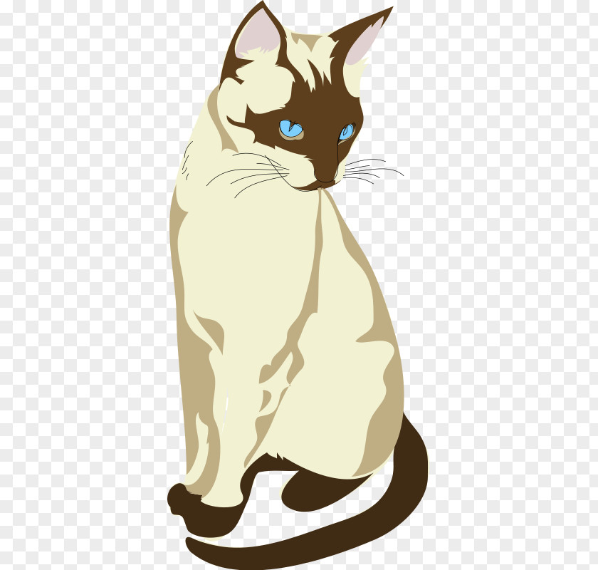 Free Cat Images The Siamese Kitten Black Clip Art PNG