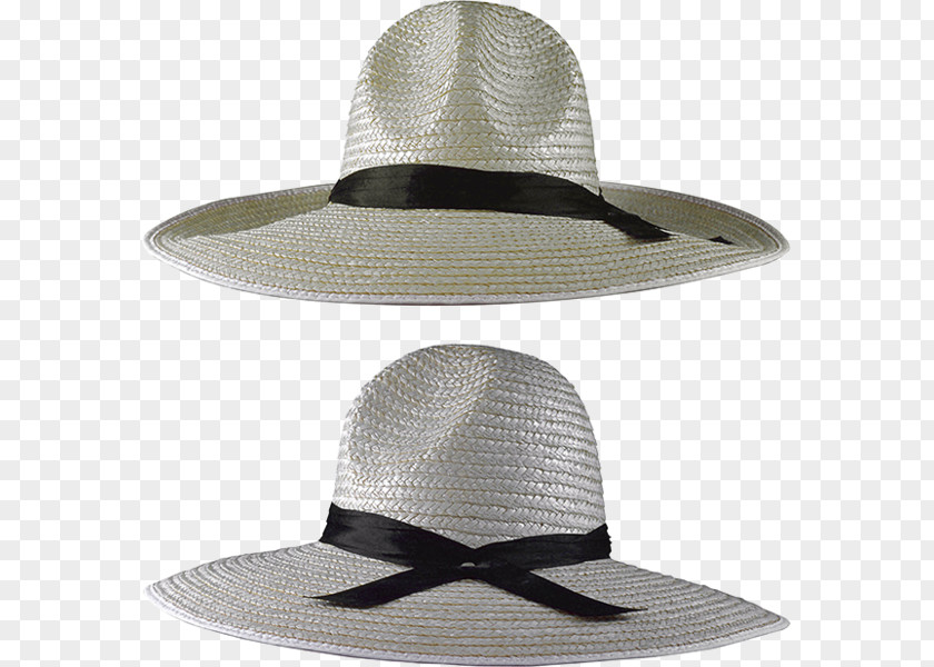 Hat Sun Straw Fedora PNG
