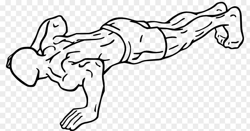Plank Fitness Bodyweight Exercise Push-up Centre Health PNG