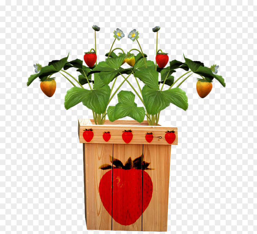 Strawberry Pots Fruit Pot Flowerpot PNG
