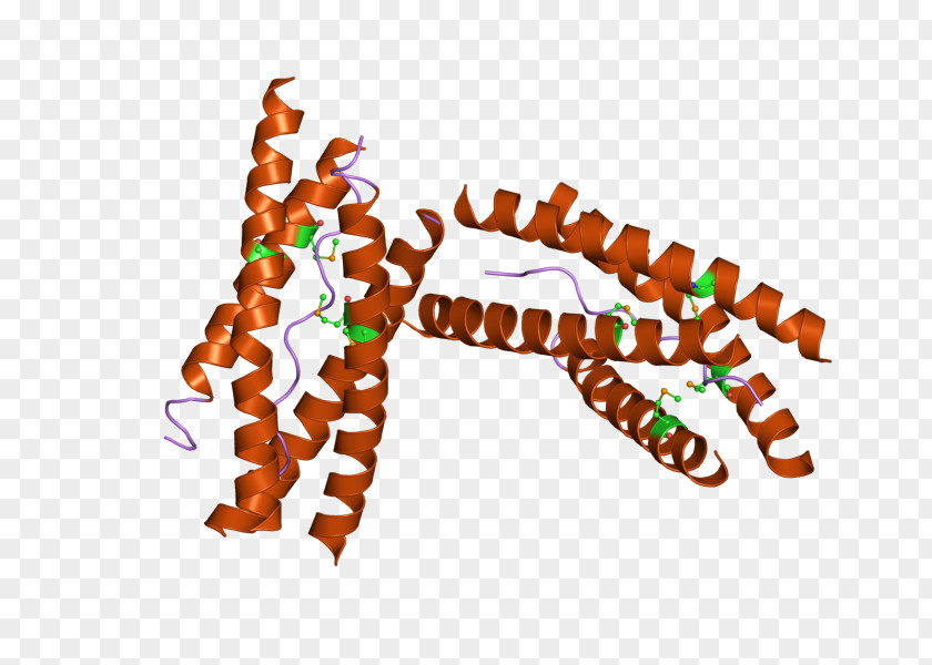 Acetylcholinesterase Neurotransmitter Enzyme PNG