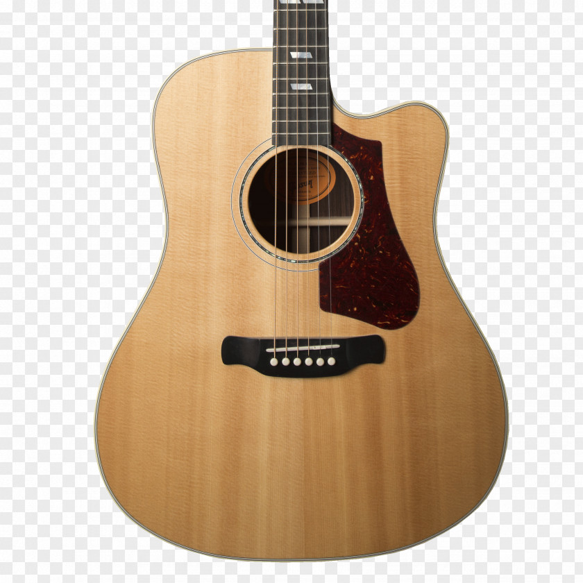 Acoustic Guitar Gibson Hummingbird ES-335 J-45 PNG