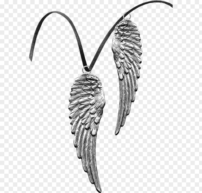 Fashion Accessory Feather Monochrome PNG
