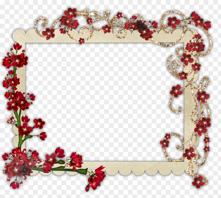 Frame Picture Frames Photography Clip Art PNG