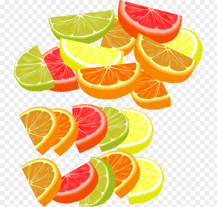 Hand-painted Lemon Slices Key Lime Grapefruit Mandarin Orange PNG