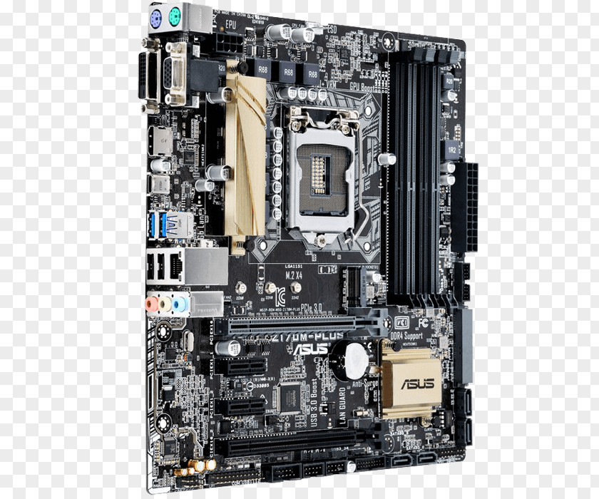 Intel LGA 1151 Motherboard MicroATX Asus PNG