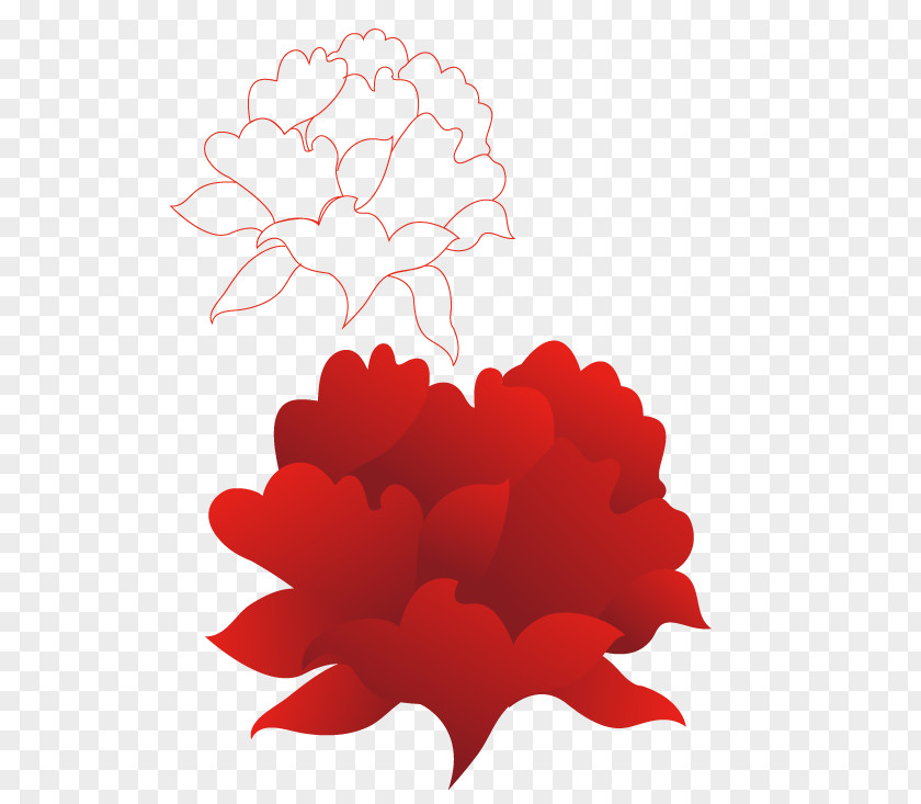 Large Red Flowers And Line Drawing Artwork PNG
