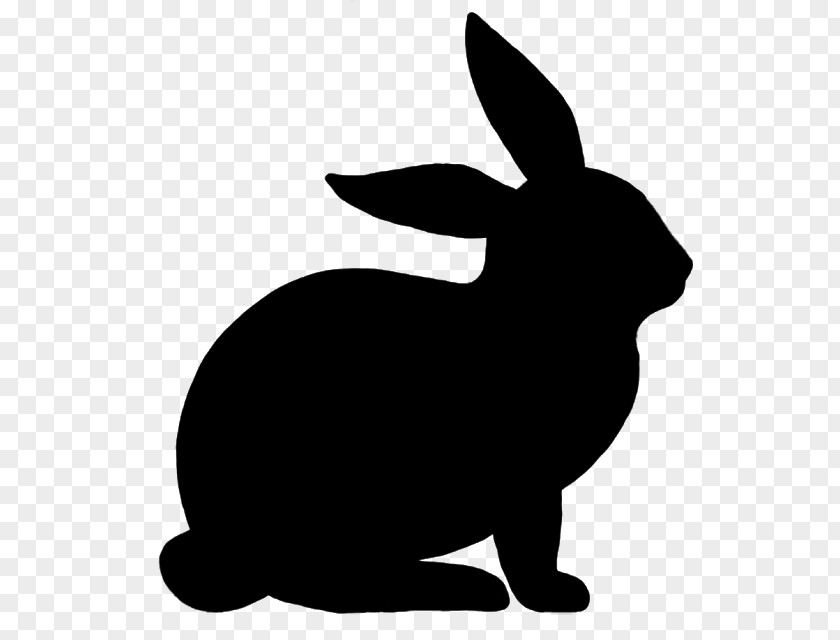 Rabbit Hare Easter Bunny Silhouette Drawing PNG