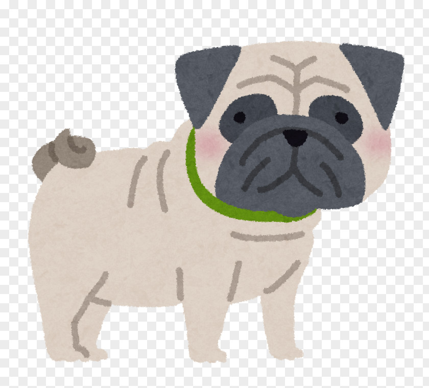 Dog Pug Puppy Breed Companion Toy PNG