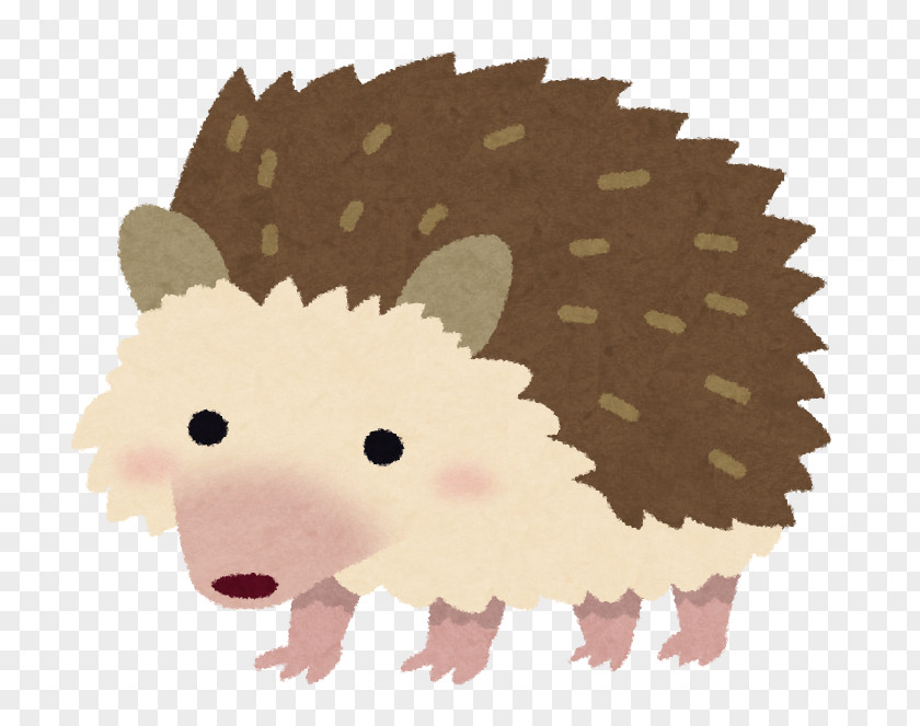 Hedgehog 株式会社スマイルヴィジョン Pet 飼育 ネズミ PNG
