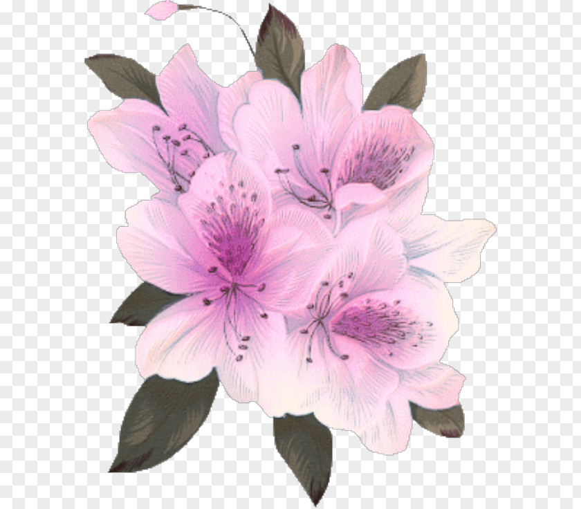 Kwiaty Flower Bouquet Desktop Wallpaper PNG