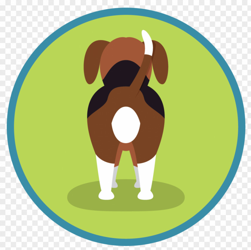 Puppy Beagle Your Canidae Scent Hound PNG