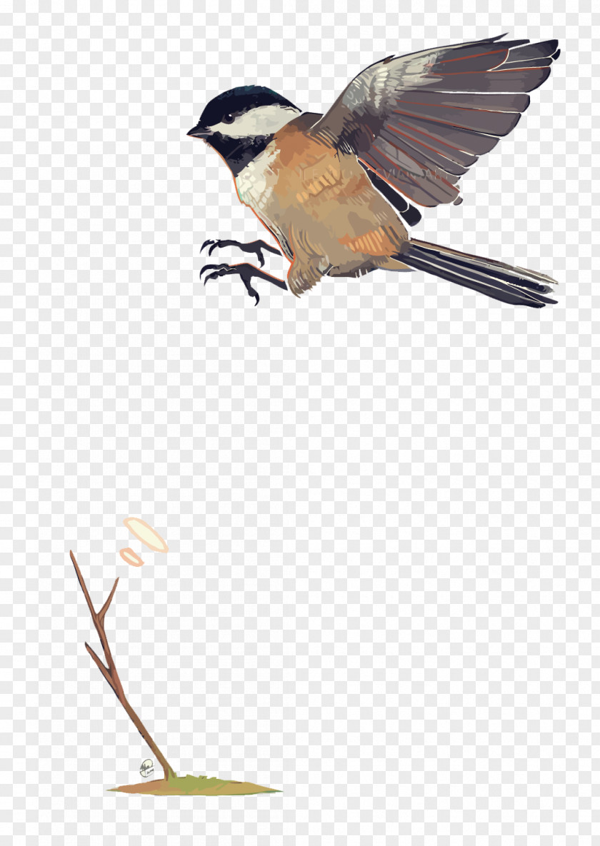 Vector Sparrow Eurasian Tree Finch Bird PNG
