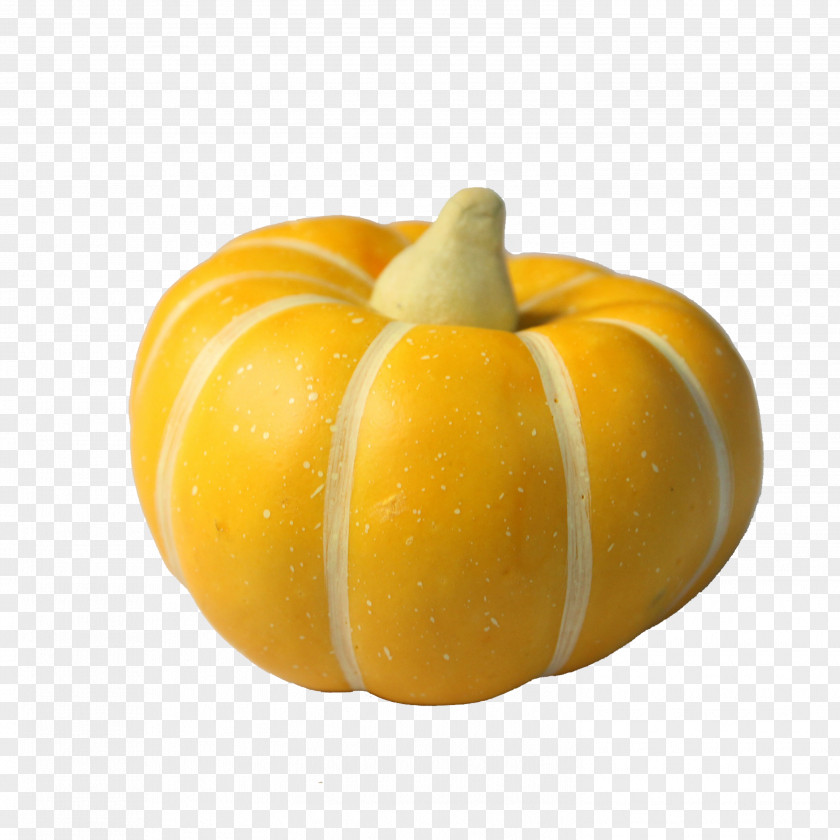 Pumpkin Calabaza Gourd Winter Squash PNG