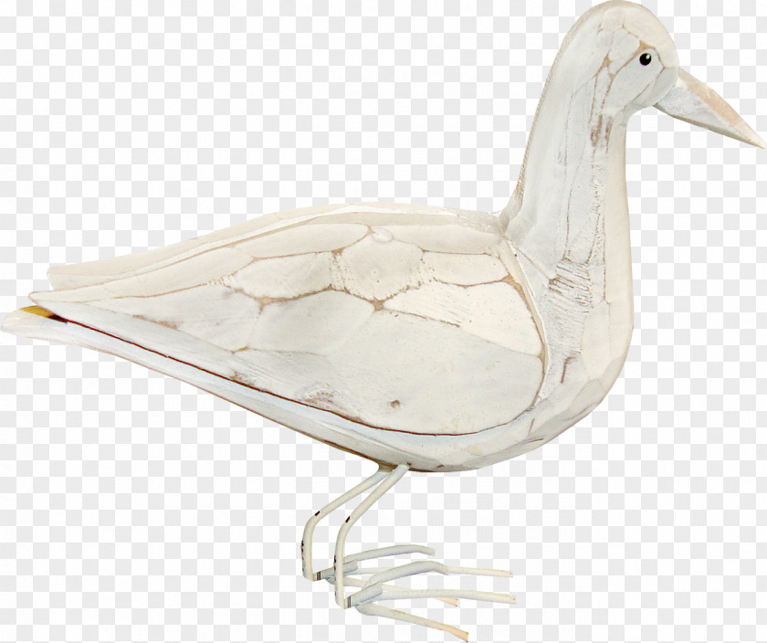 White Duck American Pekin Domestic Goose PNG