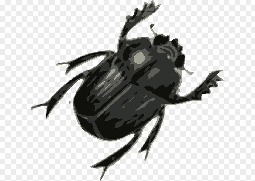 Beetle The Beatles Drawing Clip Art PNG