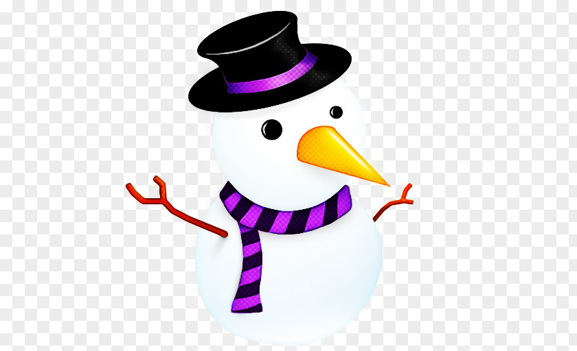 Costume Hat Flightless Bird Snowman PNG