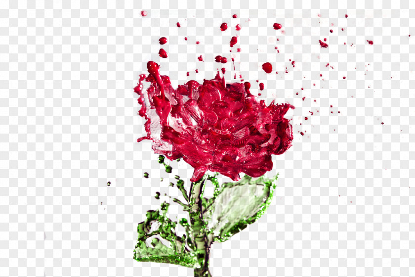 Creative Watermark Rose Distilled Water Drop PNG