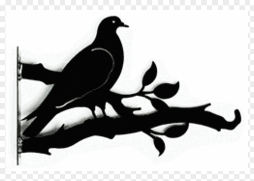 Decorative Lanterns Beak Bird Hanging Basket Silhouette White PNG