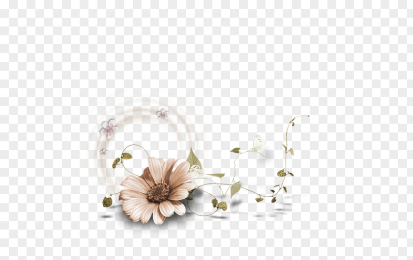 Picture Frames Flower Clip Art PNG