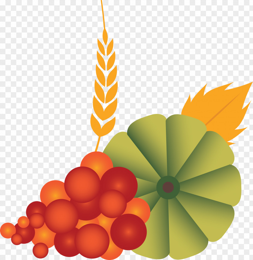 Vegetable Harvest Autumn PNG