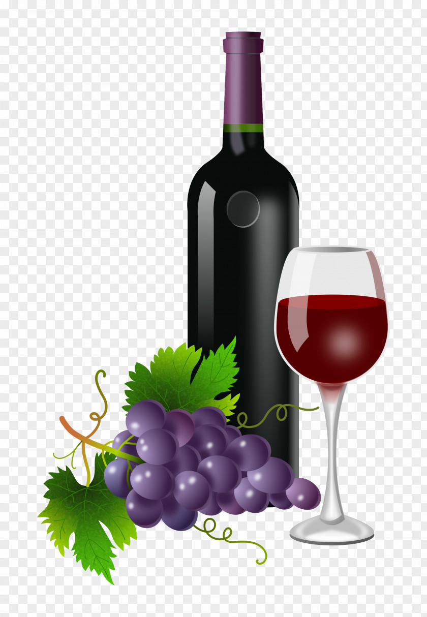 Wine Red Common Grape Vine Champagne Beer PNG