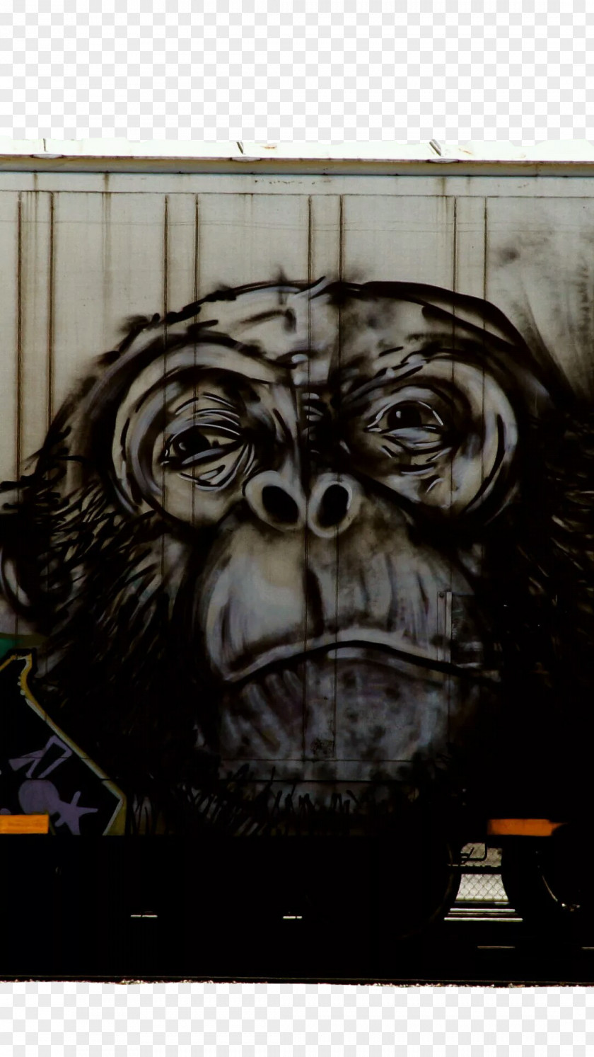 Monkey Graffiti On The Wall Freight Train Illustration PNG