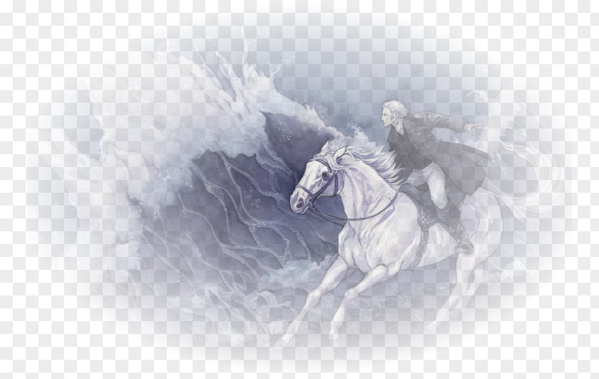 Computer Desktop Wallpaper The Rider On White Horse Stock Photography PNG