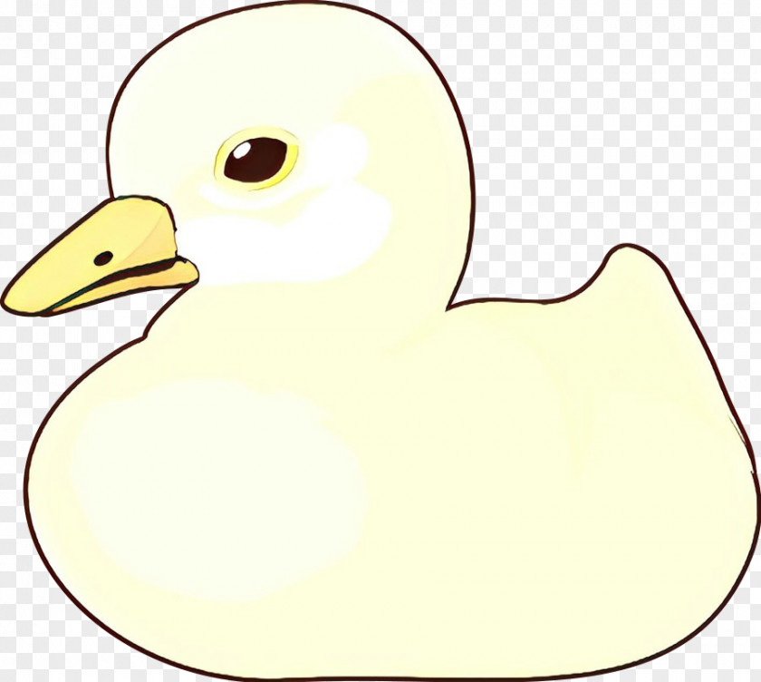Duck Cartoon Clip Art Image Drawing PNG