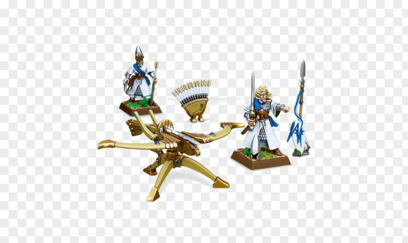 Elf Warhammer Fantasy Battle Age Of Sigmar 40,000 Total War: Bolt Thrower PNG