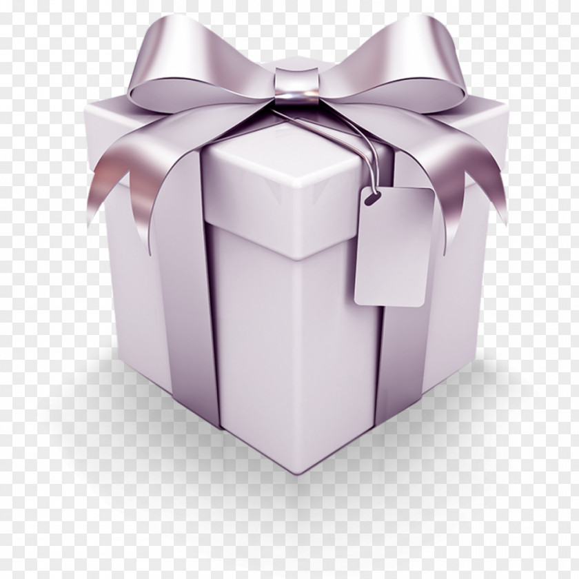 Giftbox Gift Wrapping Stock Photography Decorative Box Silver PNG