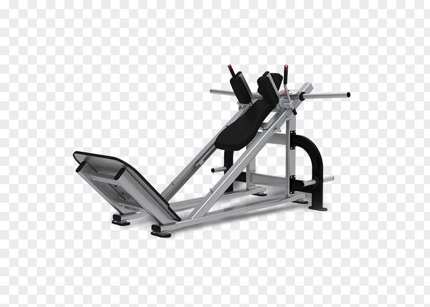 Hack Squat Exercise Equipment Fitness Centre Physical PNG