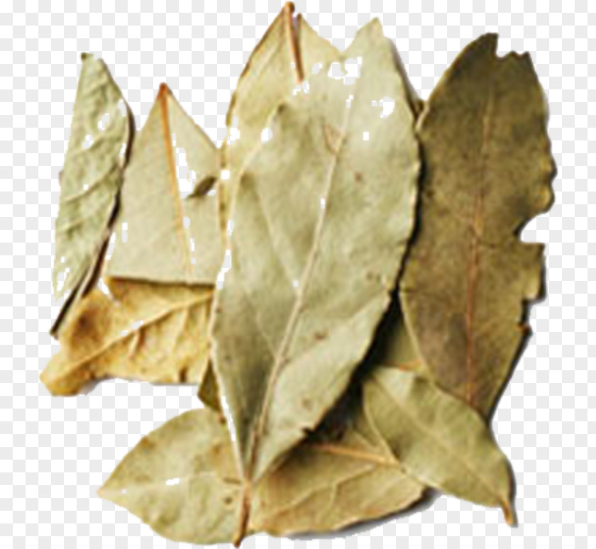 Leaves Edamame Capsicum Annuum Sichuan Pepper Ingredient Condiment PNG
