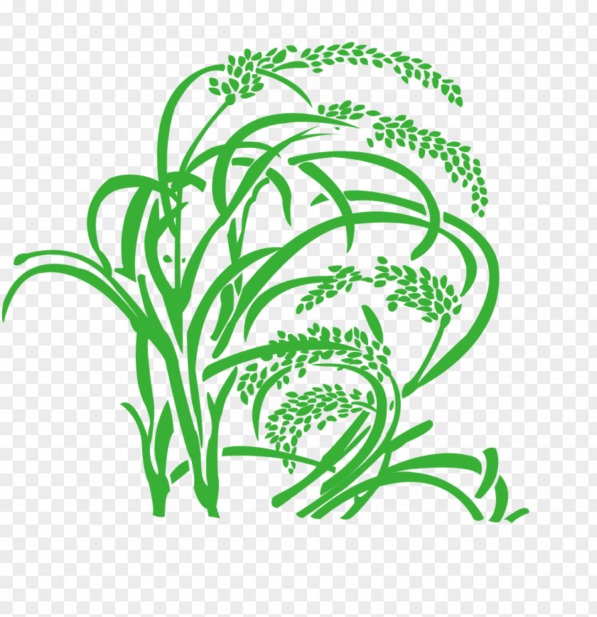 Vector Wheat Grasses Clip Art PNG