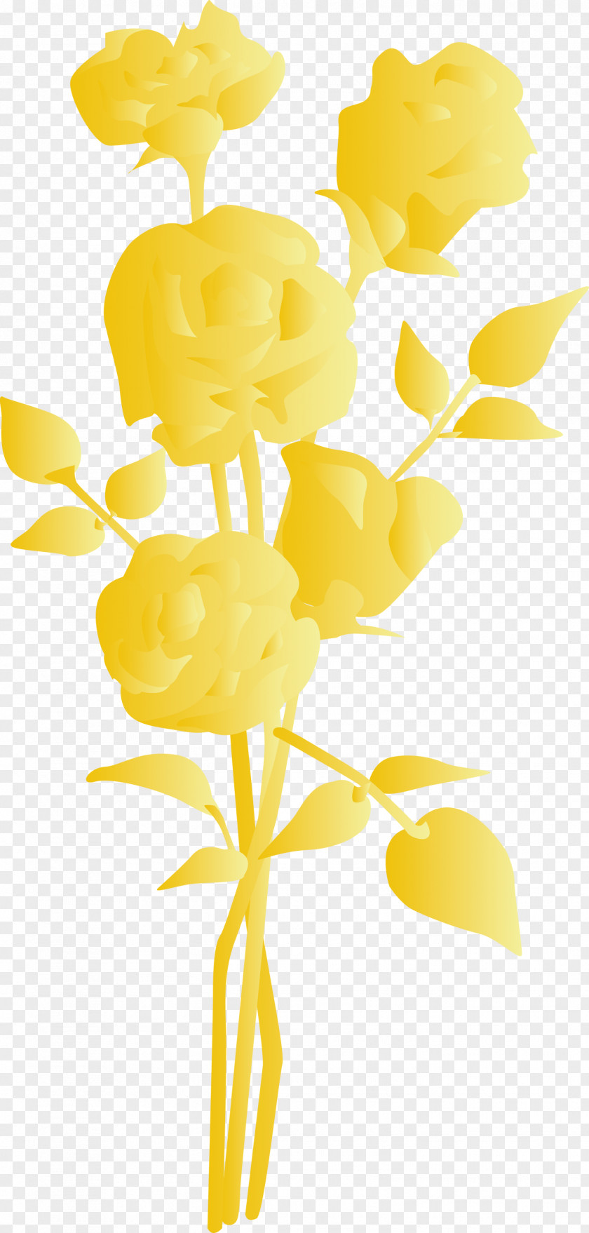 Yellow Cut Flowers Flower Plant Pedicel PNG