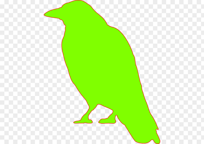 Bird Crow Common Raven Clip Art PNG